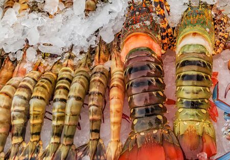 Lobster Ice Raw catch sale fish market Food Backgroundの写真素材