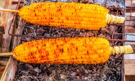 Corn cobs Barbecue steamed cooking grill Food Backgroundの写真素材