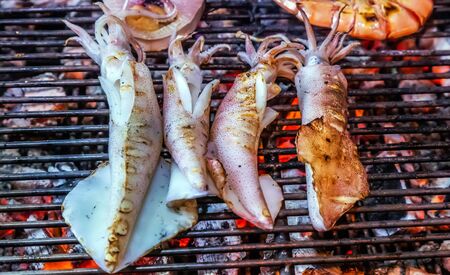 Barbecue grill steamed Cooking bbq Squid Octopus Food background