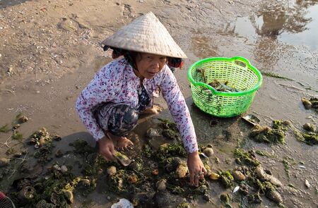 PHAN THIET, VIETNAM - Feb 16, 2015: People fisherman catch working at Vietnamese PHAN THIET harbour fishing village Vietnam. Travel Southeast Asia Coast Binh Thuan of Vietnam.のeditorial素材