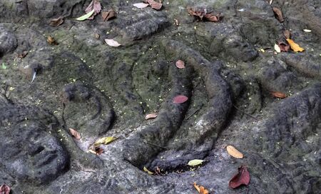 Siem Reap, Cambodia Kbal Spean This Cambodian riverbed is covered in ancient holy cobble stones to ornate images of Hindu deities carved in relief on the rocks.の写真素材