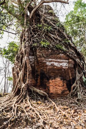 Tower Prasat Pram Temple ruins of Koh Ker Siem Reap Cambodia. Angkor Cities and Temples architecture monument. Angkor Khmer Lost ancient Empire city in the jungle Archaeological Landscape Cambodiaの写真素材