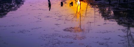 Sunrise in the morning Siem Reap Cambodia Srah Srang Lakeの写真素材