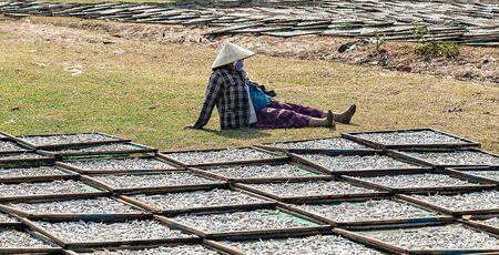 Side View Dried Salted Fish Of Woman Drying Fish At Harbor Vietnam Mui Ne Phan Thietの写真素材