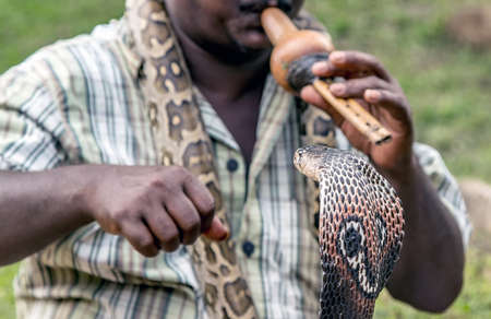 Snake enchanter or Indian fakir plays pipe pungi or been to enchant cobra