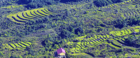Vietnam the rice fields and terracesの写真素材