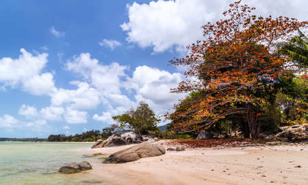 Scenic rocky adriatic beach, Sunny blue sky.の写真素材