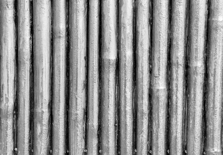 White painted Bamboo texture wall washed woodの写真素材