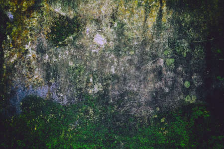 Texture of a Green surface of concrete wall floor cement smoothの写真素材
