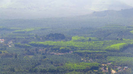 Scenic mountain landscape jungle panorama forest in a magical mist, Misty landscape
