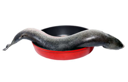 Fish salmon seafood trout steak isolated on white backgroundの写真素材