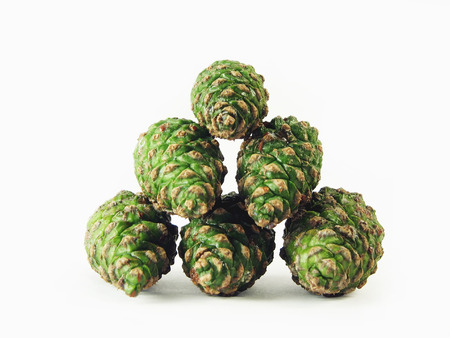 nature, forest:  six green pine cones on wite backgroundの写真素材