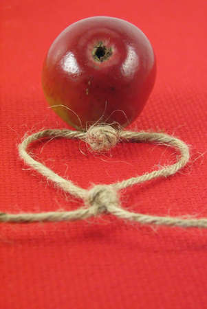 abstract, composition: red apple and string in form of heart on red tissueの写真素材