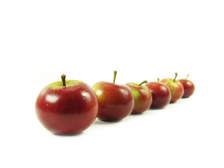nature, composite: six red applesin row on white backgroundの写真素材