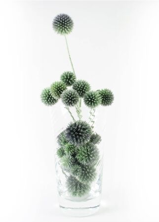 flora, nature composite : blue bouquet  thistly flowers on white backgroundの写真素材