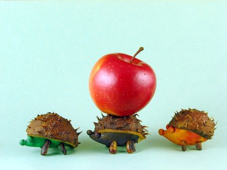 autumn composition from creative series: chestnuts hedgehogsの写真素材