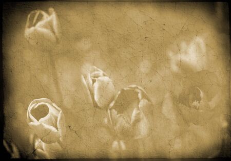 background series: dirty background with flower motive の写真素材