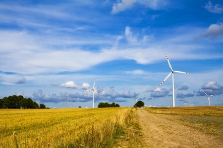 Summer landscape with energy wind turbines farmの写真素材