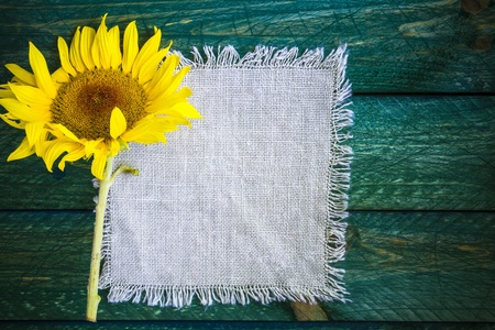 Art abstract background with floral motive for designの写真素材