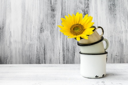 Still life with flower on pyramid of tin cupsの写真素材
