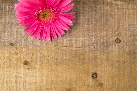 Composition with flower on a wooden table to the projectの写真素材