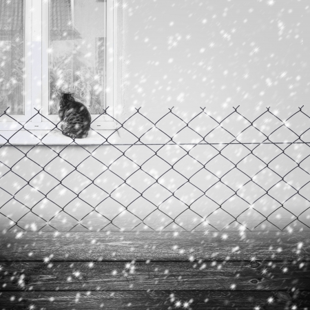 Winter background with a wire fence and a cat on the window. Falling snowの写真素材