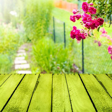 Spring background with a small garden and a wooden panelの写真素材