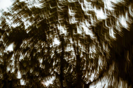 White blurry light on black. Abstract background