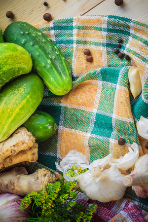 The ingredients for the preparation of pickled cucumbersの写真素材