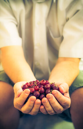 Male hands holding fresh air gooseberry fruitの写真素材