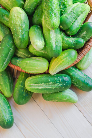 Lots of fresh green cucumbers on a wooden tableの写真素材