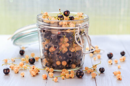 Preparation of products processed: fresh colorful summer fruits in jarsの写真素材