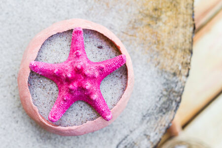 Sea shells on the sand and boardの写真素材