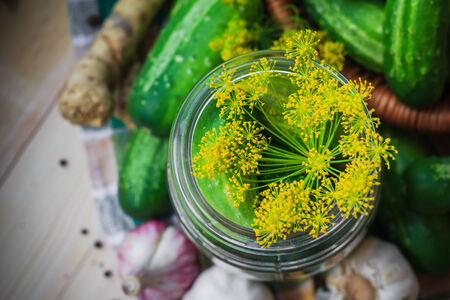 Top view of a jar of pickles and other ingredients for picklingの写真素材