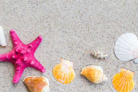 Colorfull Sea shells on the sand and board