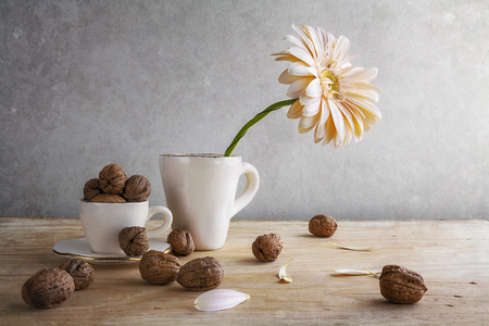 クルミの花の写真 イラスト素材一覧 8 325件 ストックフォトのamanaimages Plus
