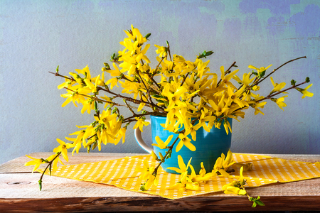 Still life with a spring bouquet of yellow forsythiaの写真素材