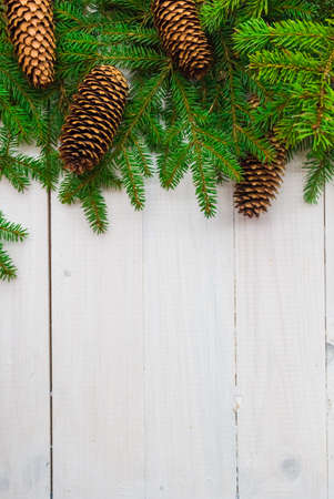 Christmas background: spruce twigs and cones on white board