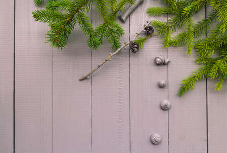 Christmas setting: the composition of the gifts of the forestの写真素材