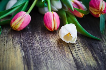 Art abstract background with spring tulips on wooden for designの写真素材