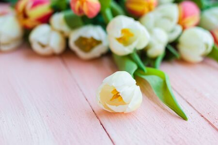 Art abstract background with spring tulips on wooden for designの写真素材