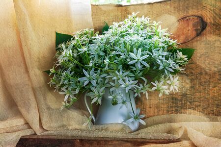 Still life with a bunch of small white florets on a window