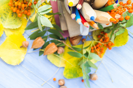 Autumn background: the concept of back to schoolの写真素材