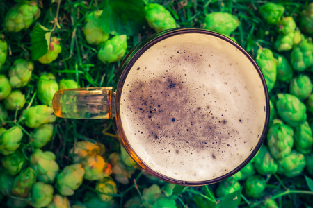Top view of a pint of beer on background hop conesの写真素材