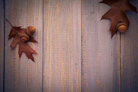 Gifts of autumn on wooden background. Vintage composition