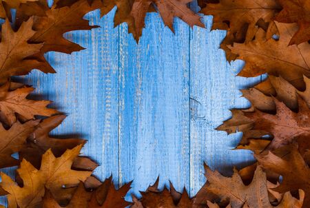 Vintage composition with autumn fruit arranged in a circle on the wooden backgroundの写真素材
