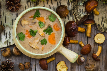 Meal with the gifts of the forest: wild mushroom soup in vintage stylingの写真素材