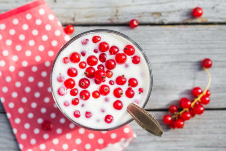 Buttermilk fruit red currant on the table in the gardenの写真素材