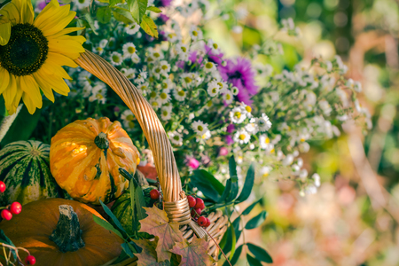 A basket full of autumn harvest in the garden: pumpkin fruits and colorful flowersの写真素材