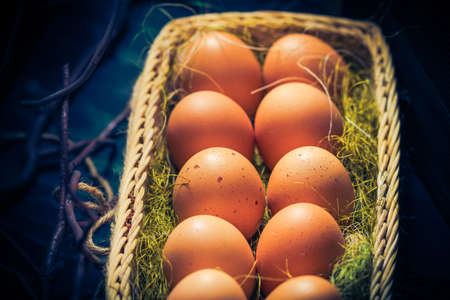 Easter composition of Easter eggs. Mystical light